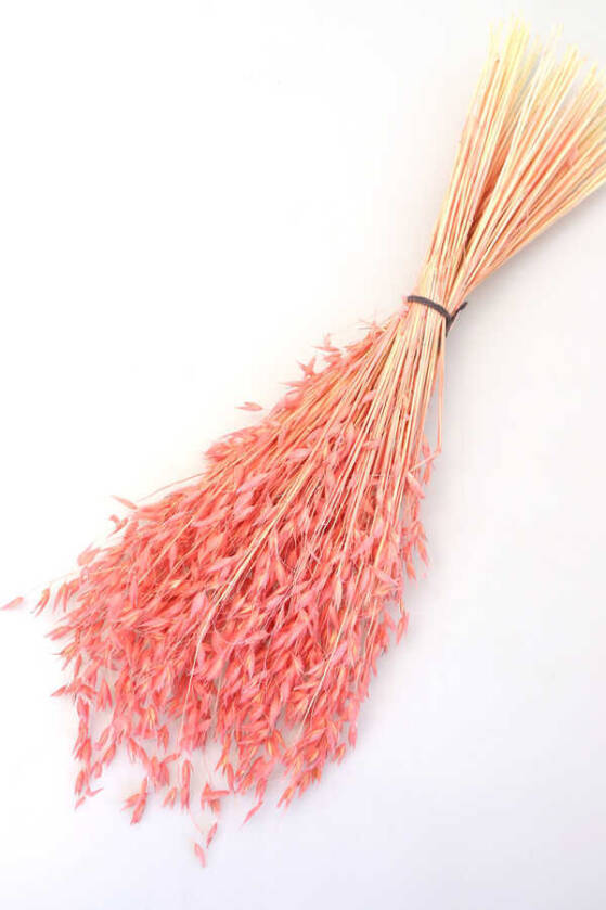 Kuru Çiçek Yulaf Otu Demeti 50 cm Açık Pembe - 1