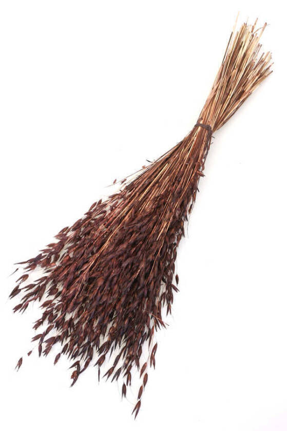 Kuru Çiçek Yulaf Otu Demeti 50 cm Kahverengi - 1