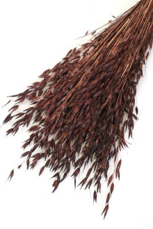 Kuru Çiçek Yulaf Otu Demeti 50 cm Kahverengi - 2