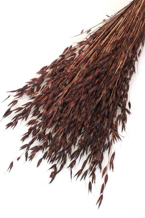 Kuru Çiçek Yulaf Otu Demeti 50 cm Kahverengi - 2