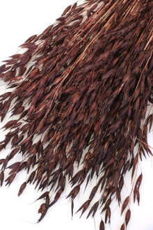 Kuru Çiçek Yulaf Otu Demeti 50 cm Kahverengi - 3