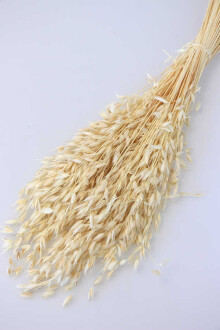 Kuru Çiçek Yulaf Otu Demeti 50 cm Naturel - Yapay Çiçek Sitesi