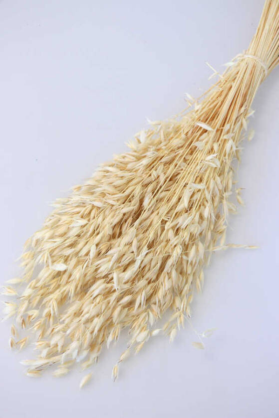 Kuru Çiçek Yulaf Otu Demeti 50 cm Naturel - 1