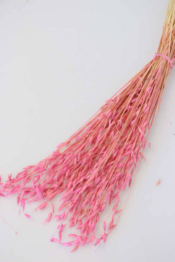 Kuru Çiçek Yulaf Otu Demeti 50 cm Pembe - 1