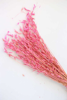 Kuru Çiçek Yulaf Otu Demeti 50 cm Pembe - 2