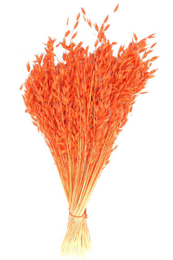 Kuru Çiçek Yulaf Otu Demeti 50 cm Turuncu - 1