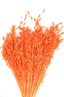 Kuru Çiçek Yulaf Otu Demeti 50 cm Turuncu - 2