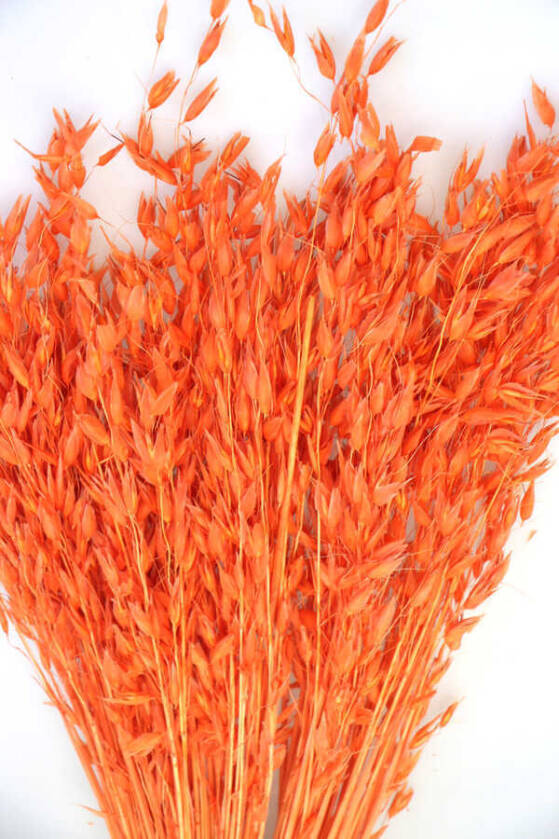 Kuru Çiçek Yulaf Otu Demeti 50 cm Turuncu - 3