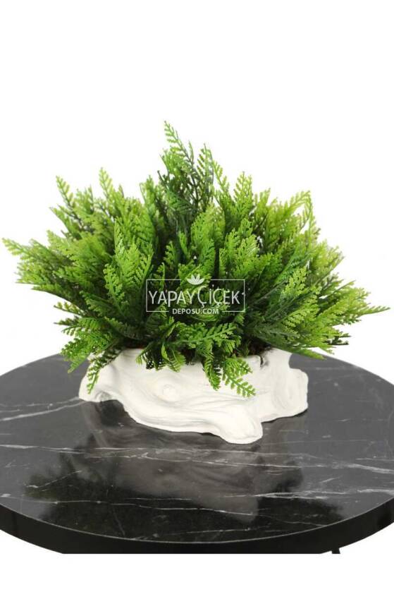 Kütük Görünümlü Saksıda Yapay Mazı Çamı Tanzimi - 1