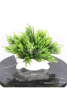 Kütük Görünümlü Saksıda Yapay Mazı Çamı Tanzimi - 2