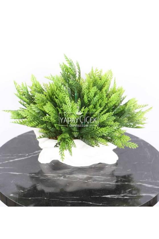 Kütük Görünümlü Saksıda Yapay Mazı Çamı Tanzimi - 2