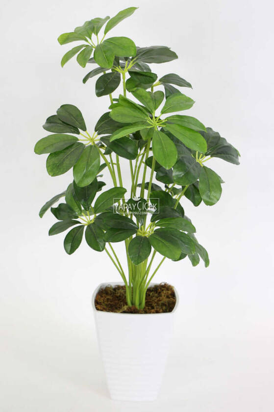 Melamin Saksıda Yapay 18 Dallı Lüx Şeflera Bitki 70cm (Schefflera) Koyu Yeşil - 1