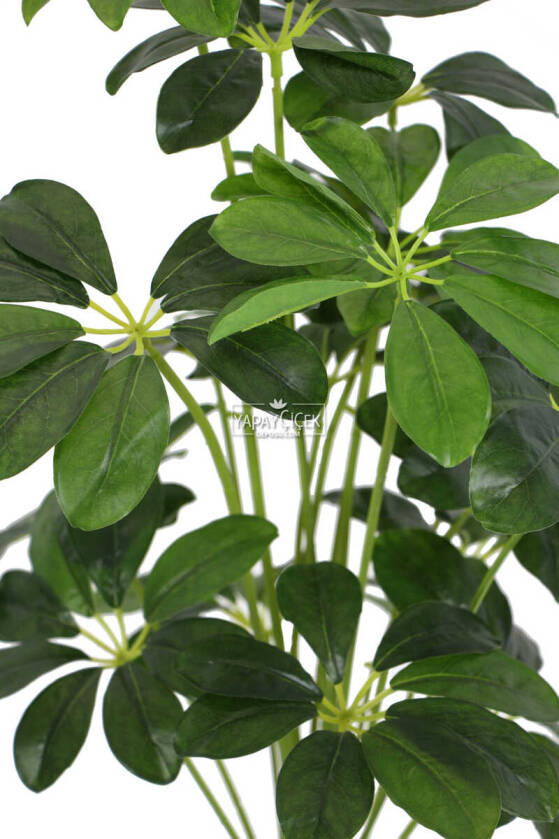 Melamin Saksıda Yapay 18 Dallı Lüx Şeflera Bitki 70cm (Schefflera) Koyu Yeşil - 2