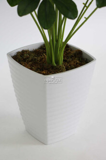 Melamin Saksıda Yapay 18 Dallı Lüx Şeflera Bitki 70cm (Schefflera) Koyu Yeşil - 3