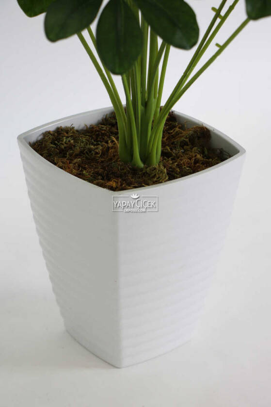 Melamin Saksıda Yapay 18 Dallı Lüx Şeflera Bitki 70cm (Schefflera) Koyu Yeşil - 3