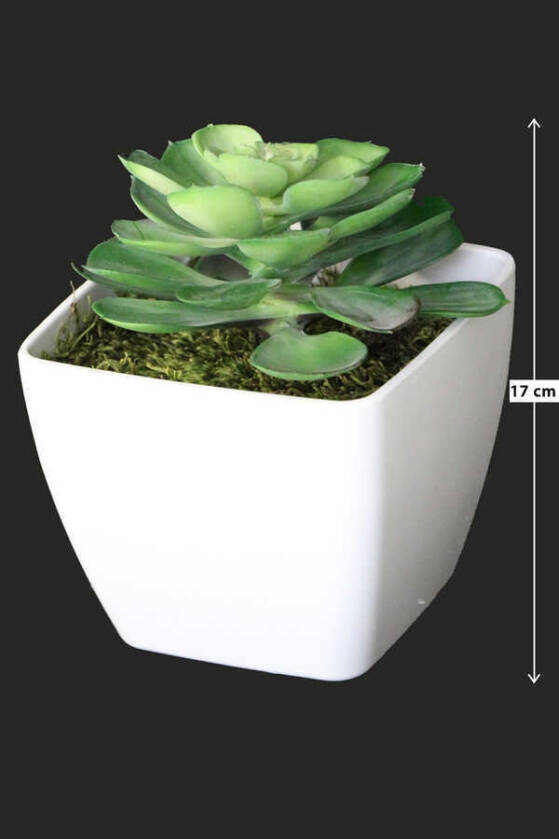 Melamin Saksıda Yapay Succulent Sukulent Echeveria 17cm - 1