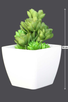 Melamin Saksıda Yapay Succulent Sukulent Echeveria Grap - Yapay Çiçek Sitesi