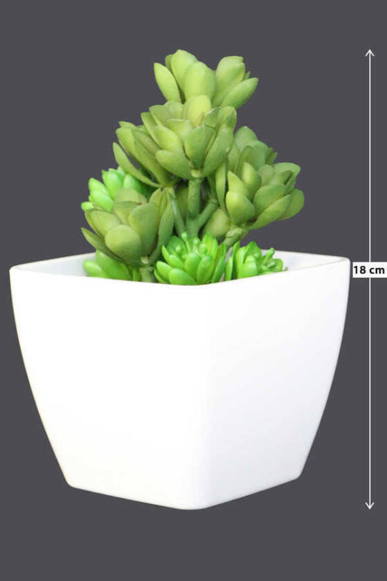Melamin Saksıda Yapay Succulent Sukulent Echeveria Grap - 1