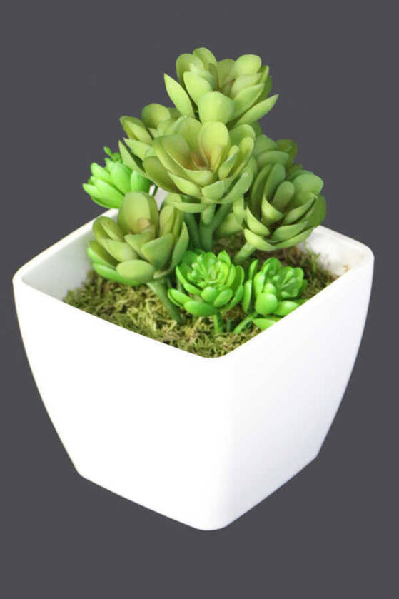 Melamin Saksıda Yapay Succulent Sukulent Echeveria Grap - 2