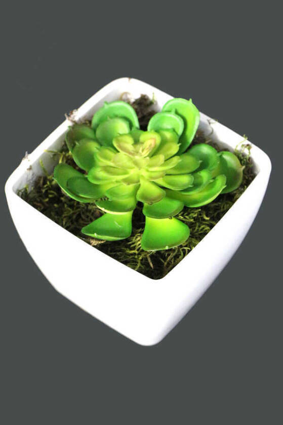 Melamin Saksıda Yapay Succulent Sukulent Perle 9 cm - 1