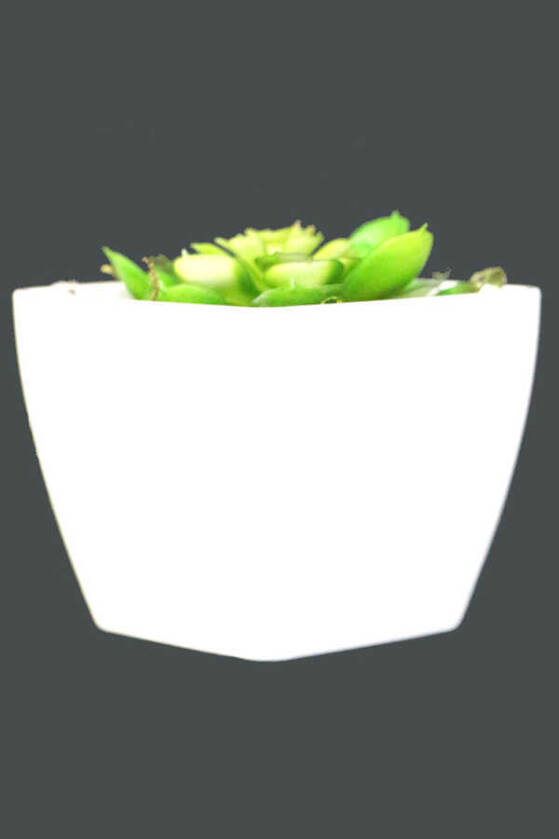 Melamin Saksıda Yapay Succulent Sukulent Perle 9 cm - 2