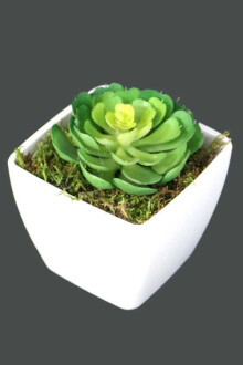 Melamin Saksıda Yapay Succulent Sukulent Pulidonis 9cm - Yapay Çiçek Sitesi