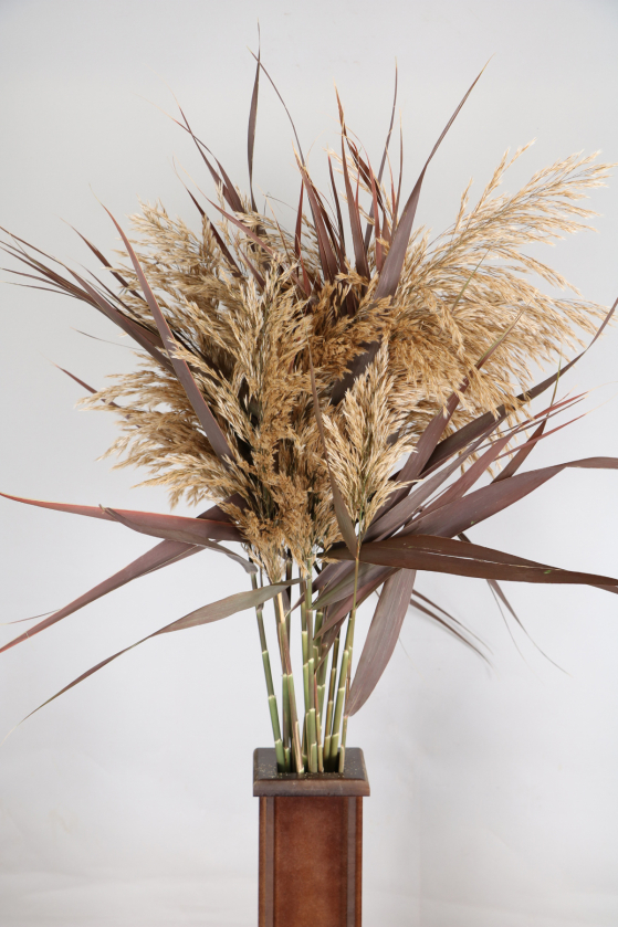 Özel Şoklu Pampas 10lu Demet Bordo - 1