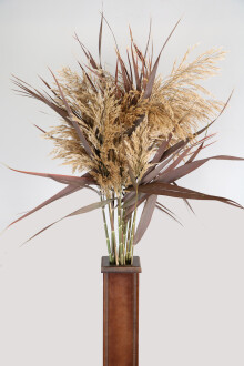 Özel Şoklu Pampas 10lu Demet Bordo - 2