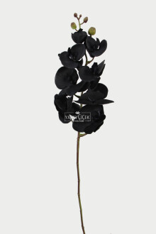 Premium Dolgun Siyah orkide Dalı 100 cm - 2