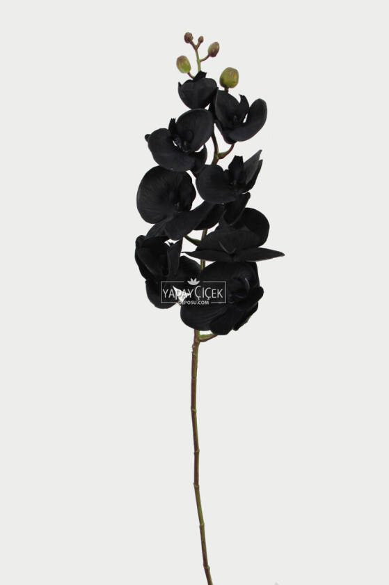 Premium Dolgun Siyah orkide Dalı 100 cm - 2