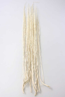 Salex Kuru Dal (10 Adet; 100 cm) - Yapay Çiçek Sitesi