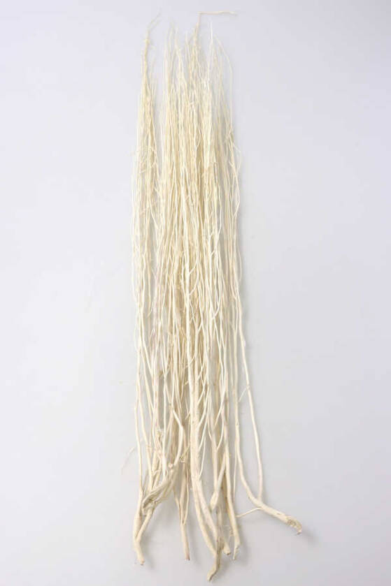 Salex Kuru Dal (10 Adet; 100 cm) - 1