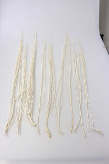 Salex Kuru Dal (10 Adet; 100 cm) - 2