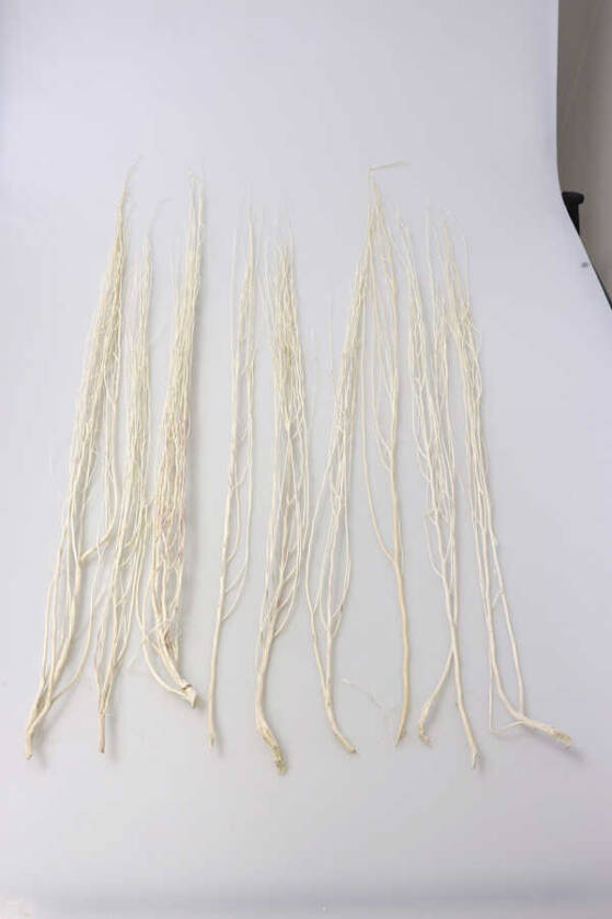 Salex Kuru Dal (10 Adet; 100 cm) - 2