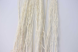 Salex Kuru Dal (10 Adet; 100 cm) - 3