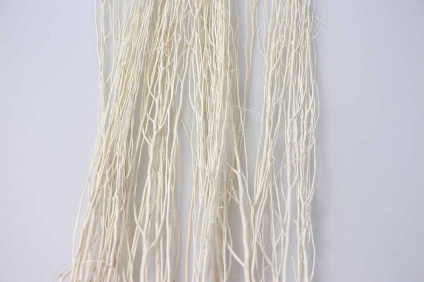 Salex Kuru Dal (10 Adet; 100 cm) - 3