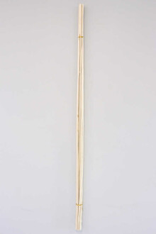 Salex Kuru Dal (Uzun, 10 Adet; 150 cm) - 2