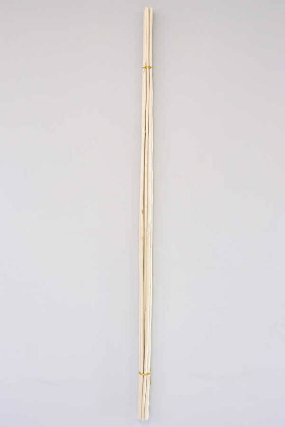 Salex Kuru Dal (Uzun, 10 Adet; 150 cm) - 2