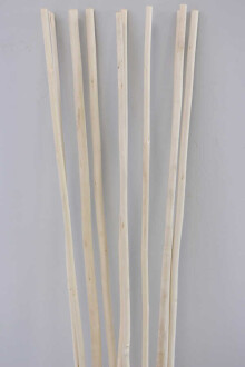 Salex Kuru Dal (Uzun, 10 Adet; 150 cm) - 3