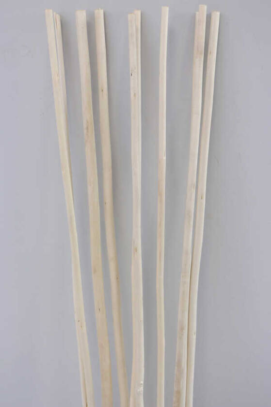 Salex Kuru Dal (Uzun, 10 Adet; 150 cm) - 3