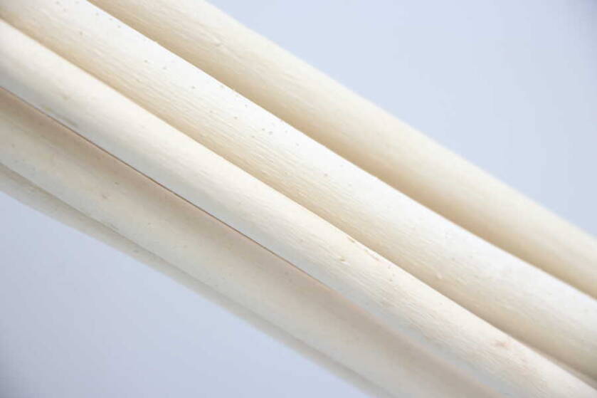 Salex Kuru Dal (Uzun, 10 Adet; 150 cm) - 4