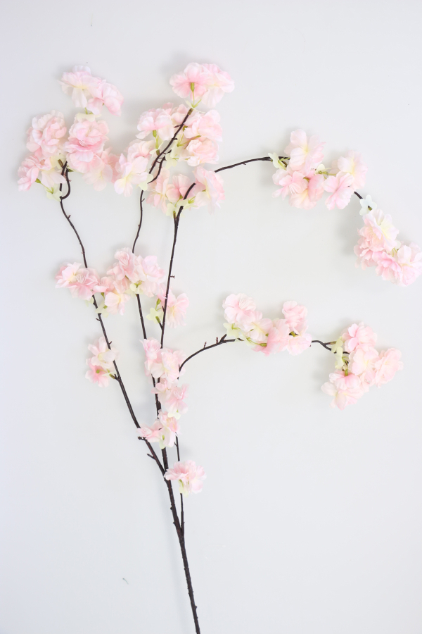 Sarkan Bahar Dalı (Açık Pembe Zarif Uzun Dal) - 1