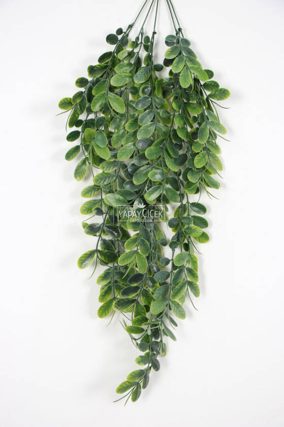 Sarkan Yapay Sedef Bitkisi 75 cm Yeşil - 1