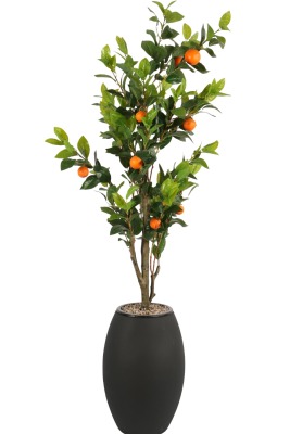 Siyah Fiber Saksıda Portakal Ağacı 220 cm - Yapay Çiçek Sitesi