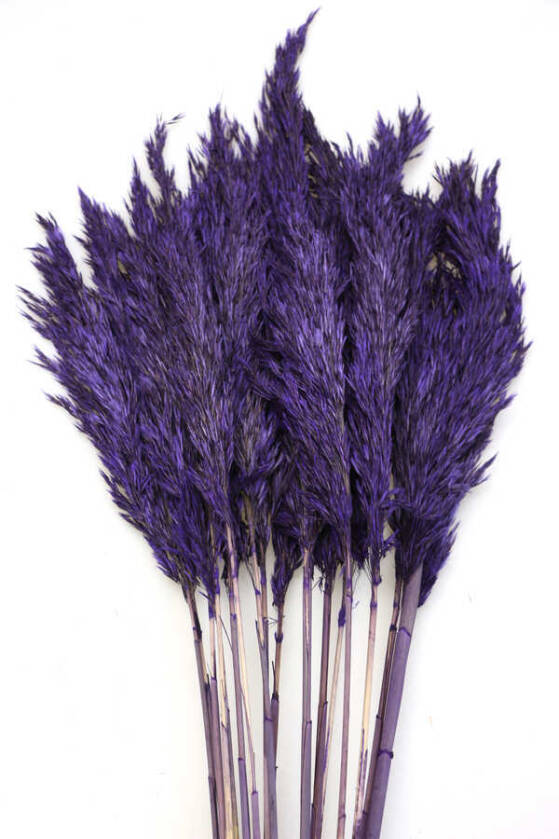 Şoklanmış Bodur Pampas Küçük Püsküllü 10lu 55cm Mor - 1