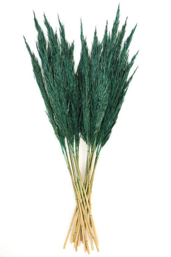Şoklanmış Bodur Pampas Küçük Püsküllü 10lu 55cm Zümrüt - 1