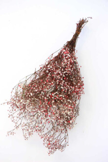 Şoklanmis Cipso Demeti Kırmızı - Yapay Çiçek Sitesi