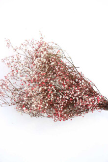 Şoklanmis Cipso Demeti Kırmızı - 2