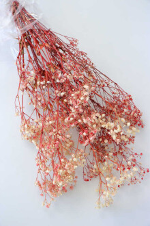 Şoklanmis Cipso Demeti Krem-Kırmızı - Yapay Çiçek Sitesi