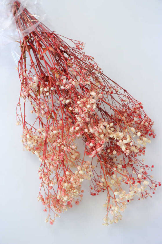 Şoklanmis Cipso Demeti Krem-Kırmızı - 1